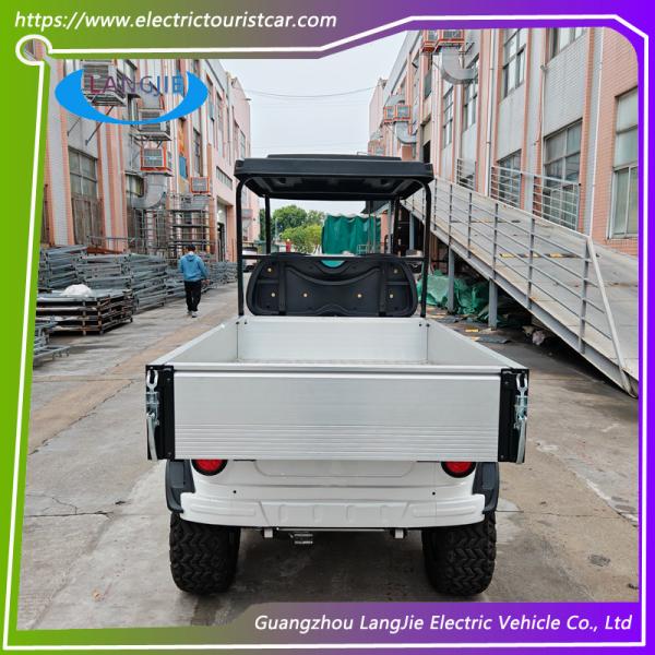 48V Motor Electric Utility Golf Cart 2 Person Electric Baggage Cart With Cargo For Hotel