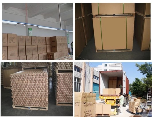 Biodegradable Cardboard Paper Box Packaging Customized Logo With Gold Stamping