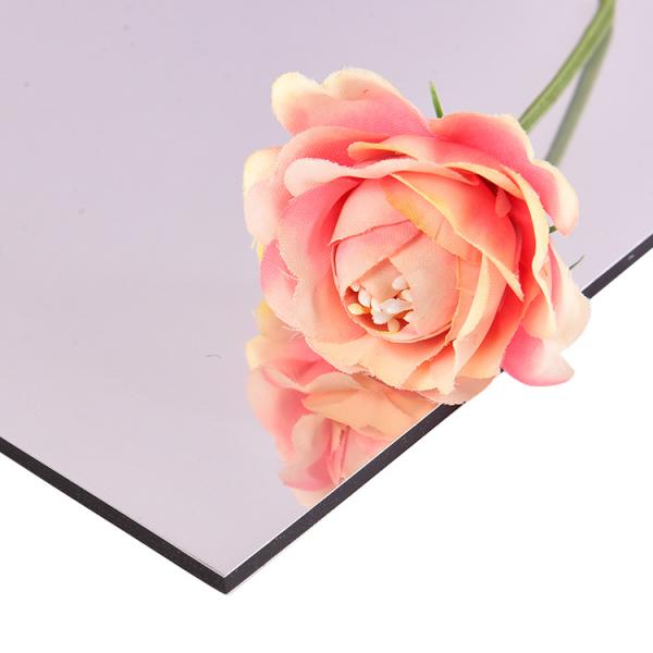 PE Construction Plastic Panel 1220mm-1575mm 3mm-6mm