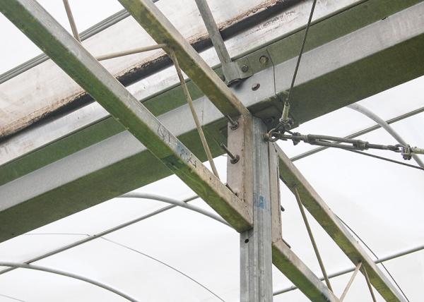 High Strength Hydroponic Clear Umbrella Greenhouse Strong Poly Tunnel