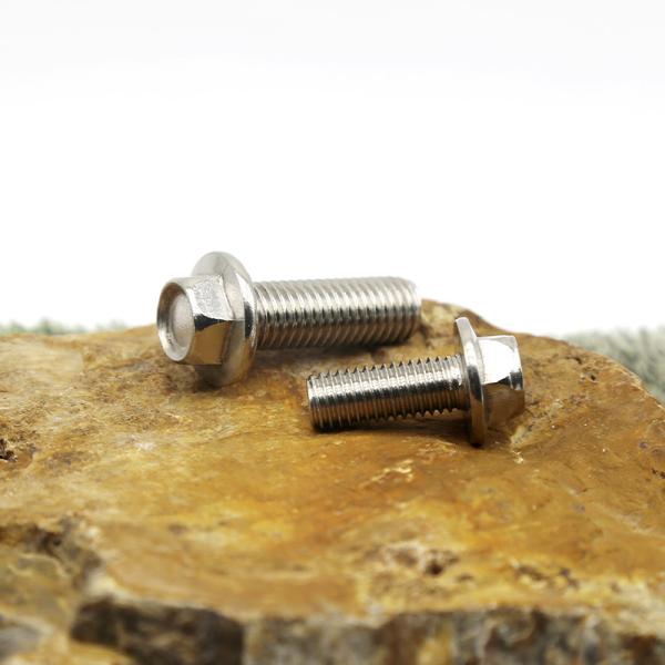 Metric Anti Slip Bolt Screws Customization Stainless Steel Flange Face Screws