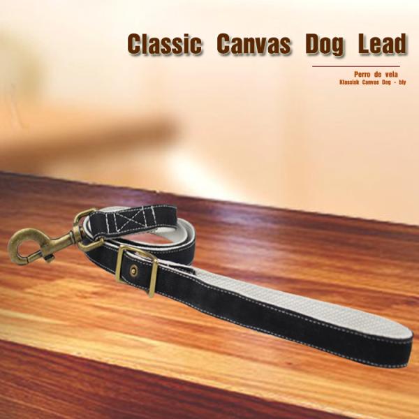 Durable Running Canvas Padded Pet Dog Leash , Colorful European Dog Leash