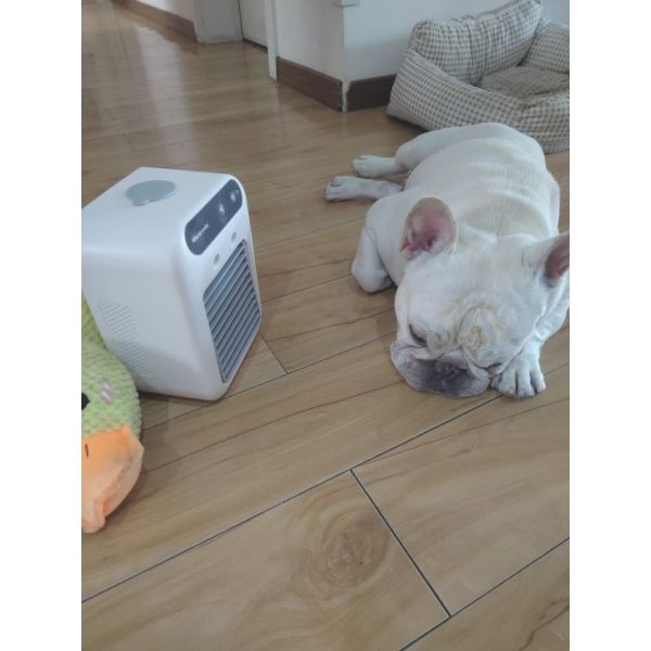 Portable Pet Spray Cooling Fan | Dog Cat Kennel Water Air Cooler