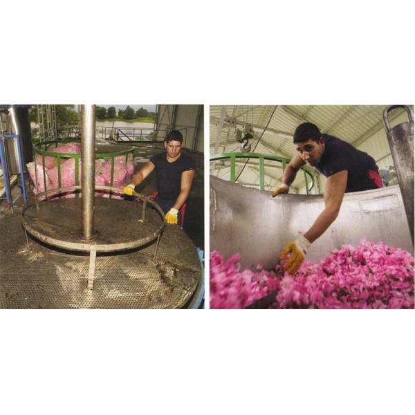 After Service Online support Jasmine Essential Oil Extraction Vacuum Water Distillation System for Neem Seed