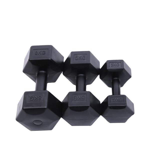 OEM 10kg Plastic Cement Power Training Dumbbells Colorful