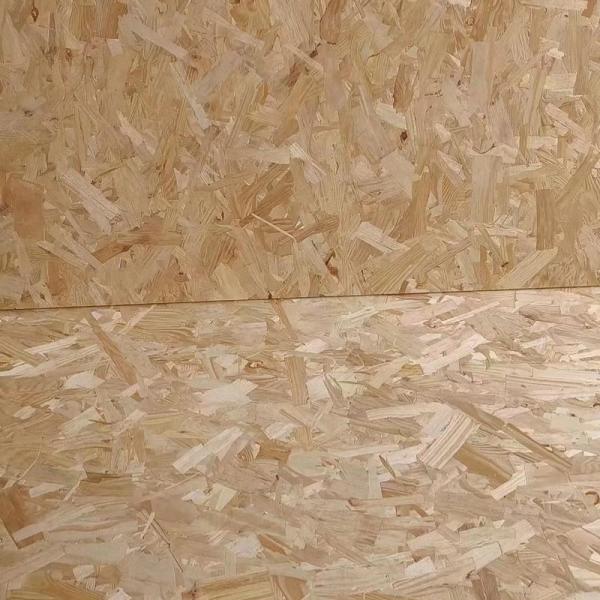 Wood Panels Oriented Strand Board 6-25mm For Flooring / Ceiling / Wall / Kitchen Use