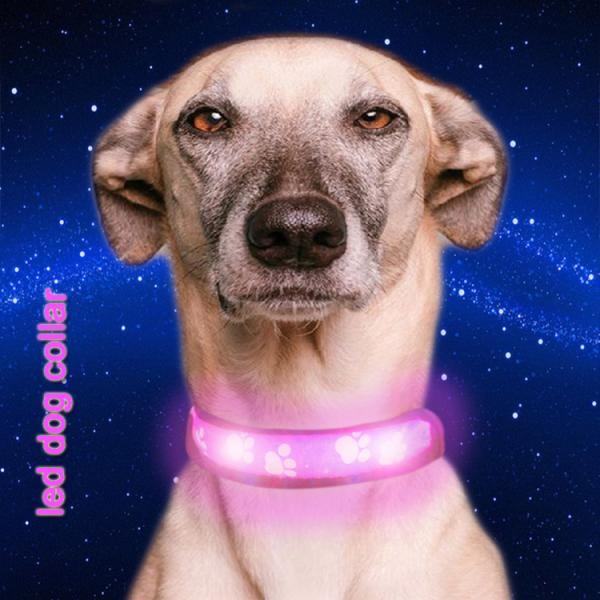 C903 Cute Style Custom Logo Nature Nylon Rechargeable Flashing LED protect dog collar pet accessories With USB