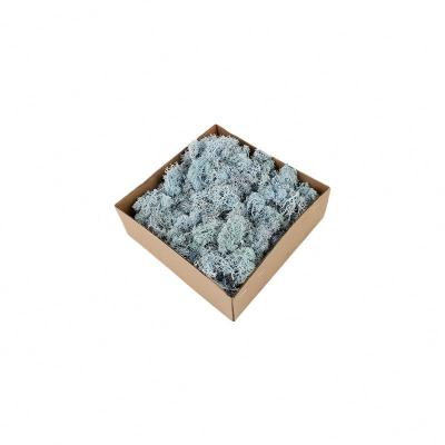 Valentine Gift Preserved Natural Moss estabilizado na caixa