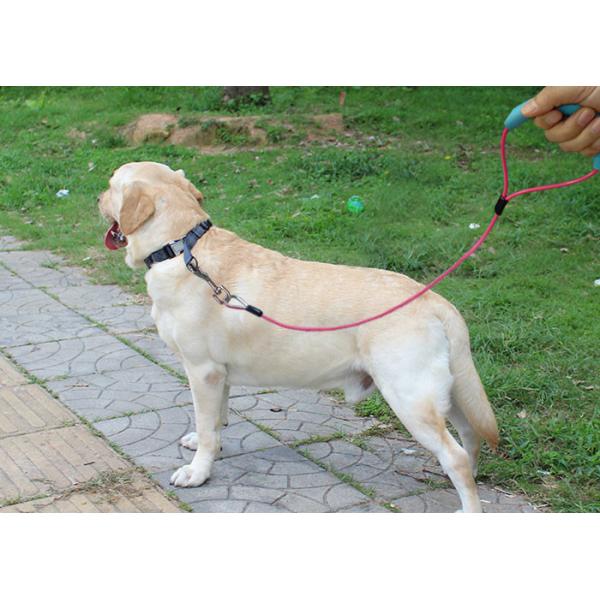 Стальной ведущий канат любимца подвеса, связь собаки доказательства укуса прочная вне привязывает