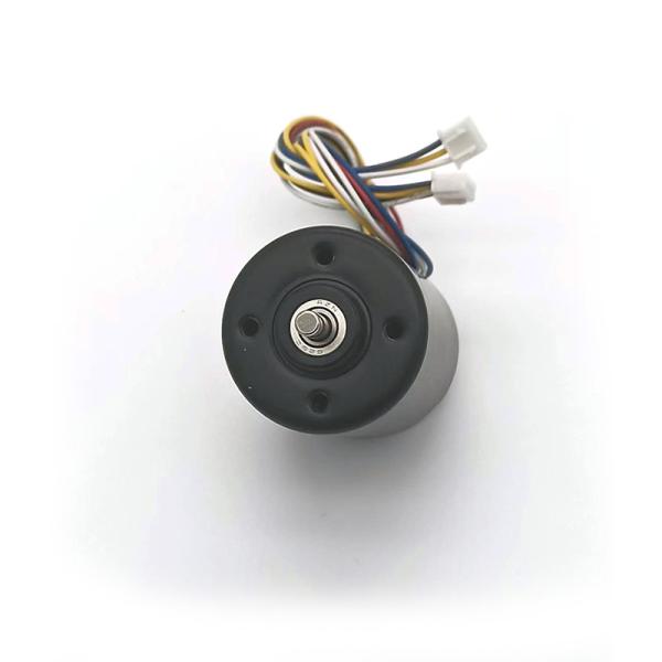 Faradyi Hot Sale High Speed 12V DC Motor Customizable Driver Brushless DC Motor For Robot