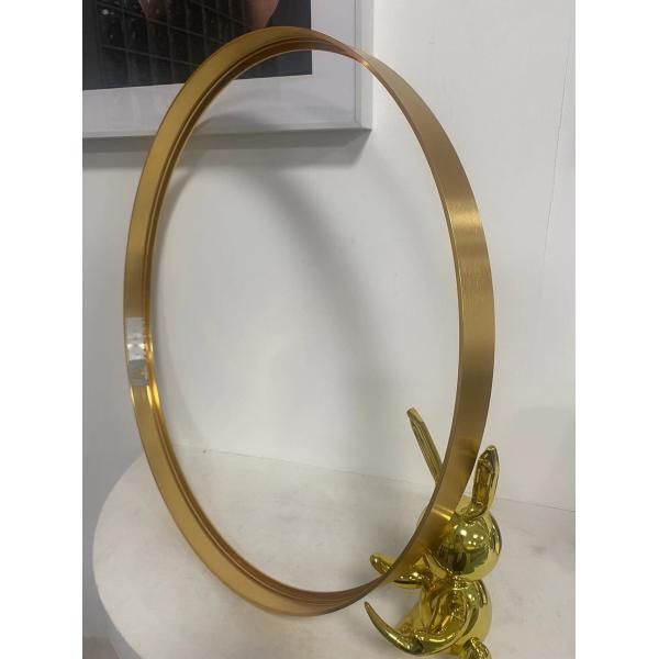 Fashion Decor Full Length Dressing Mirror with Brushed Bright Gold Aluminum Profile