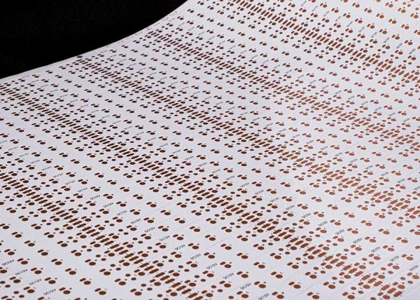 Customized Chip on FPC LED Strip Flexible Circuit Board For Led Lighting 12V 24V FPCB