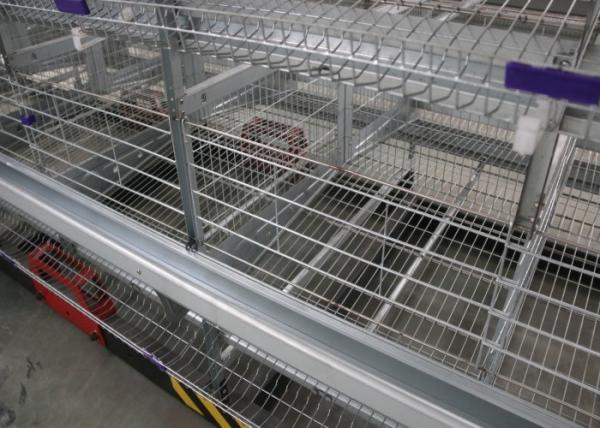 Professional Chicken Layer Equipment 8 Tiers Smooth Surface Simple Structure