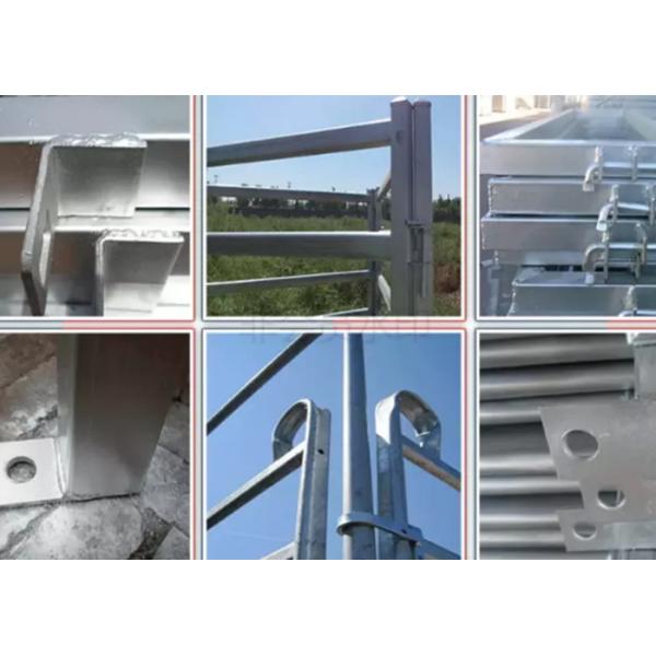 Metal Cattle Farm Equipment 1.6 * 1.8 Meters Hot Dip Galvanized Fence Panel