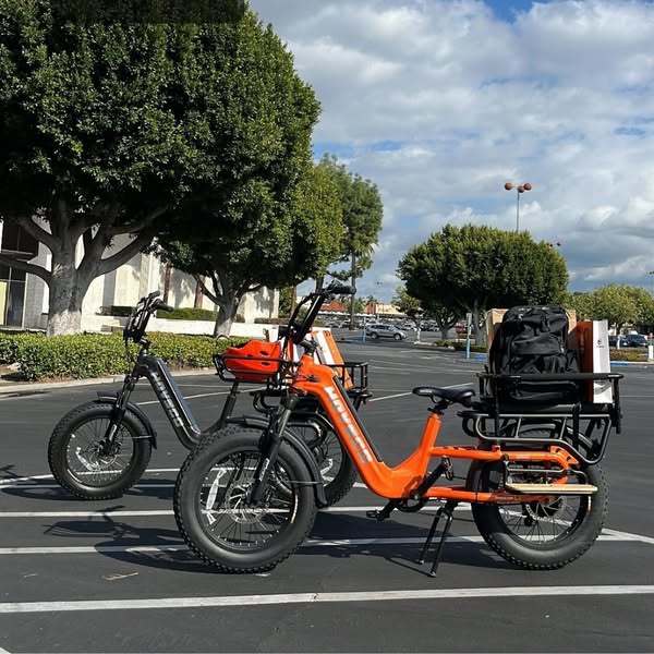2025 Wholesale 750W  48V 15Ah Battery for Grocery Delivery  Family Transportation 20  Fat Tire Long Tail Electric Cargo Bike