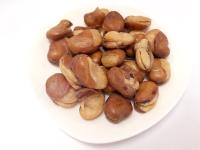 Microplaquetas revestidas da fava do Wasabi que fritam petiscos com Halal kosher