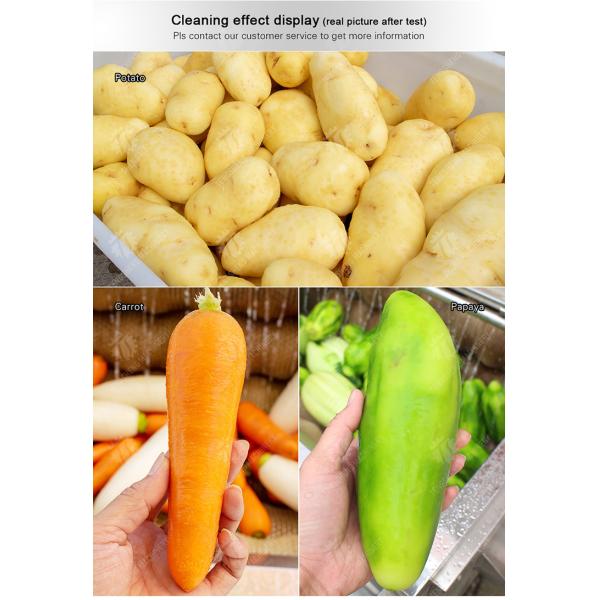 Ginger Potato Carrot Taro Sweet potato Yam Saiko persimmon Papaya Brush cleaning and peeling machine Wash Washer Washing Cleaning Dryer Frozen processing production Destoning
