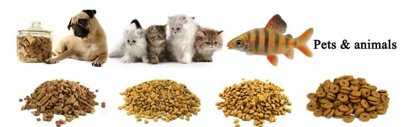 Machine d'extrusion pour la fabrication de granulés alimentaires pour animaux de compagnie, de poissons-chats flottants, de poissons, de poissons et de poissons