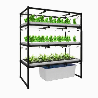 Cremalheiras crescentes hidropônicas das explorações agrícolas verticais internas de 3 camadas 600*1500mm para plantas das ervas