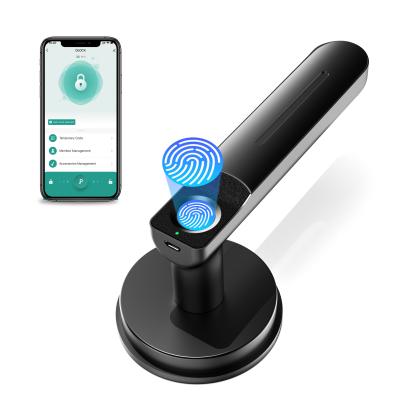 D01 Função de aplicação, fechadura de porta de impressão digital inteligente, fechadura de porta sem chave com alça, fechadura de porta de quarto para quarto/escritório