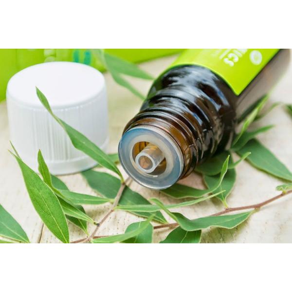 Therapeutic Organic Tea Tree Oil Intense Purifying Against Environmental Threats