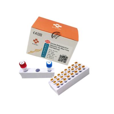 CDV Canine Distemper Test Kit Fluorescence QPCR DNA Dog Testing Kit