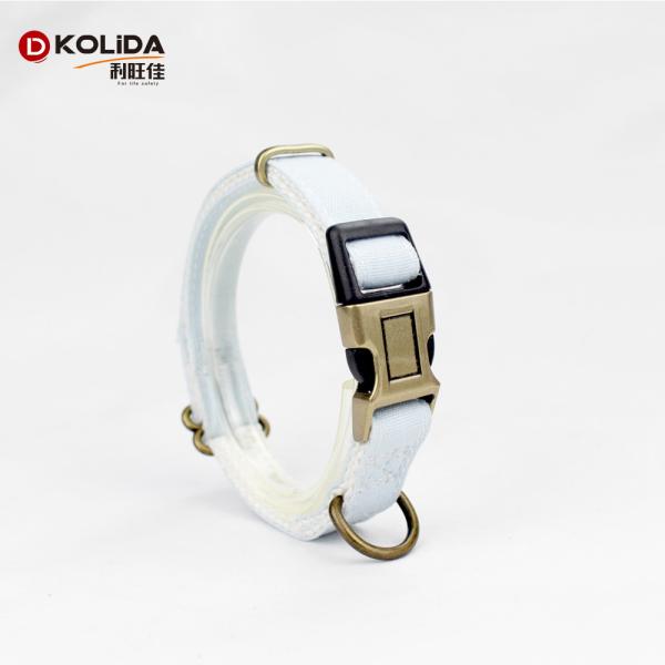 Custom Canvas Fashion Dog Collar And Leash Set For Dogs Customerized