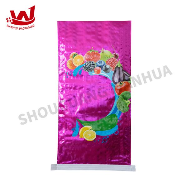 Recyclable Heavy Duty PE Bags Durable and Heavy Capacity Construction