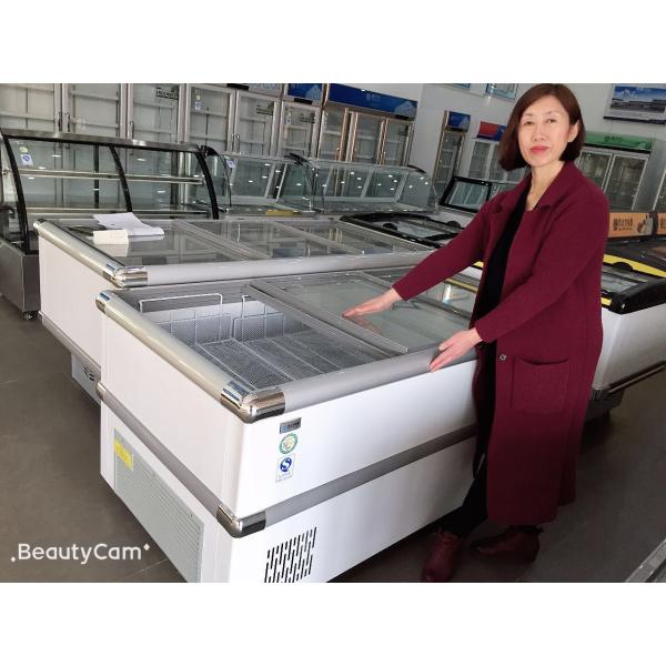 866L Supermarket Island Freezer