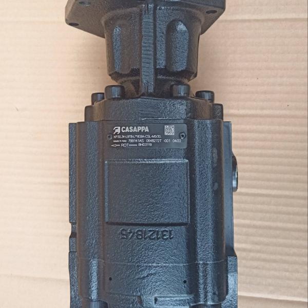 Высокая гарантия Dieci BHD3119 Гидравлический насос Casappa 799141AS