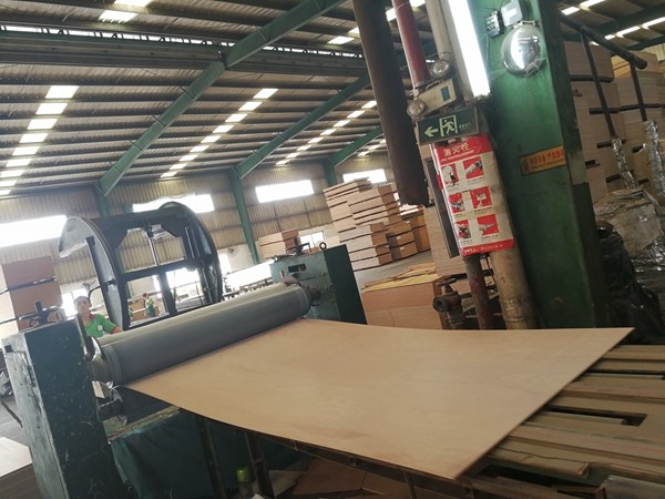 Справляться причудливая таможня переклейки облицовки тополя ранга доски E1 переклейки