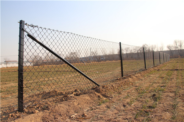 2.1mx10mx50x50mm galvanized steel 	8 foot chain link fence from  