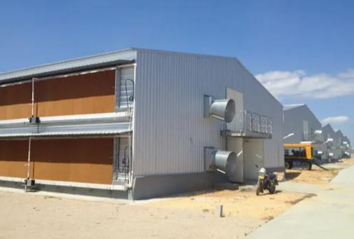 Metal Prefab Anticorrosion Light Steel Structure Poultry House