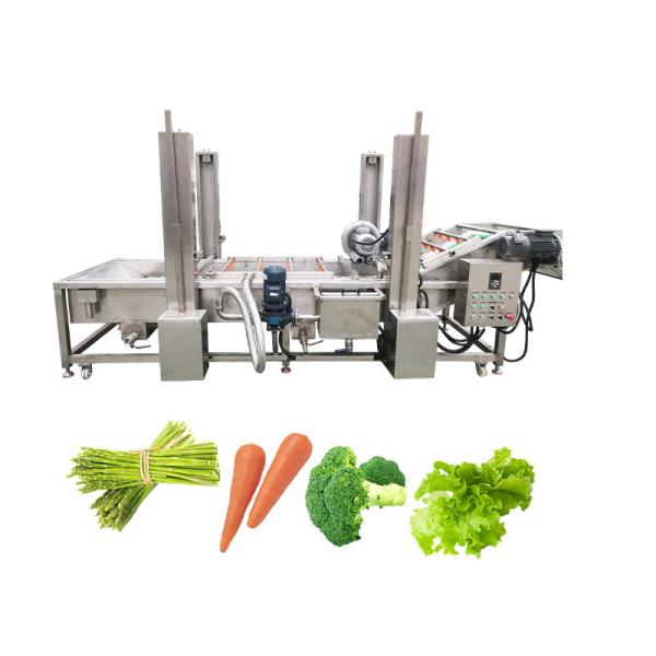 380v/220v/ Máquina de lavar bolhas de mandioca personalizável para lavar frutas e legumes
