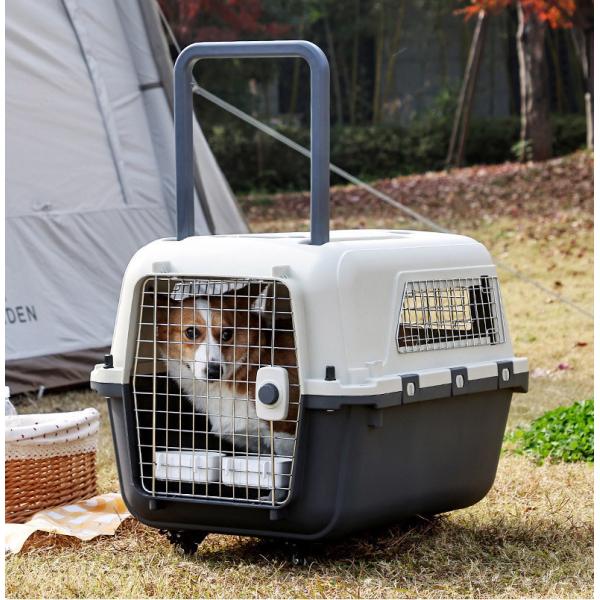Pet Air Transport Box for Small Dogs and Cats Sustainable Hard Surface Travel Carrier