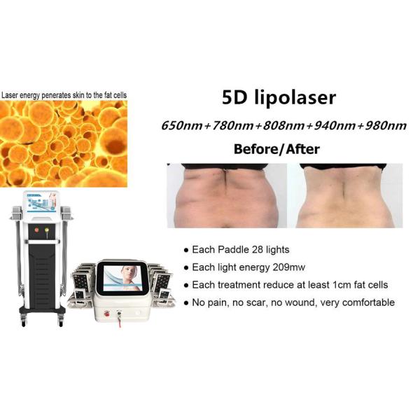 5D Липо лазерная машина для похудения 650nm 780nm 808nm 940nm 980nm