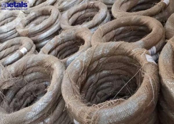 Electro Galvanized Iron Wire BWG8-BWG22 for Construction Binding