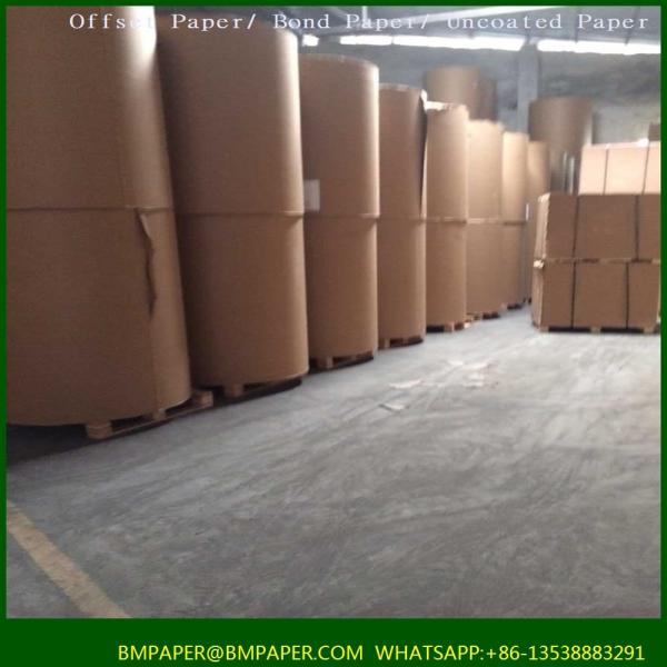70gsm 61*84cm offset printing paper White bond paper