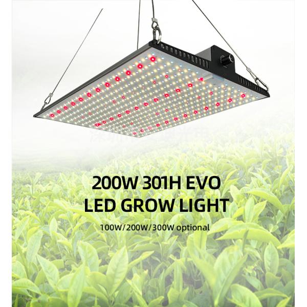 Luz de crecimiento de plantas de interior de espectro completo 2x2ft 3x3ft LED Grow Light