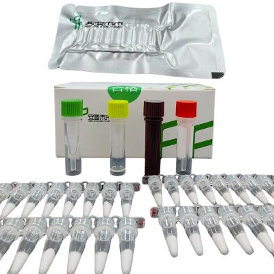 14 meses de validade EXO Pseudomonas Aeruginosa Pathogen Detection Kit