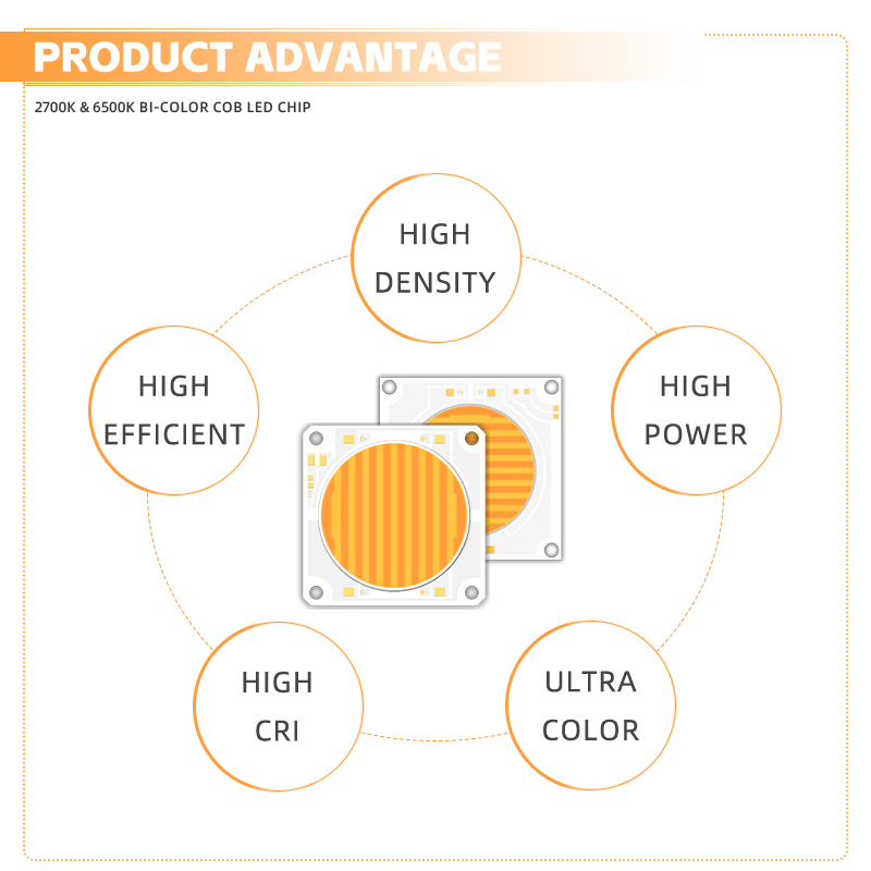 150W 150W 200W 200W COB LED CHIP 5454 Двойная цветовая температура для фотографии