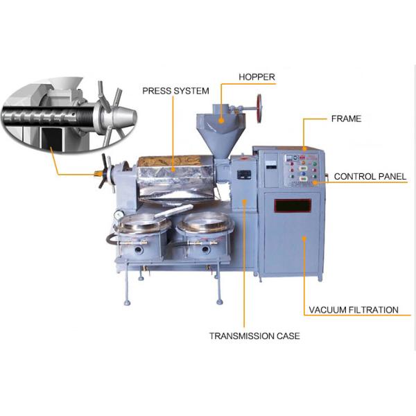 Max Capacity 300 kg/h 6yl Pomegranate Seed Oil Extraction Machine Jatropha Oil Press Machine with Oil Vacuum Filter 98%-100%