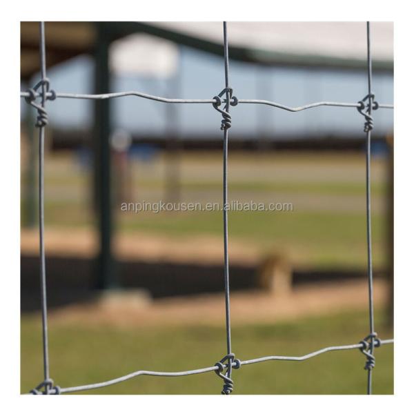 0.8-2.4m Security Fence Hot Dipped Galvanized Game Wire Farm Field Fence