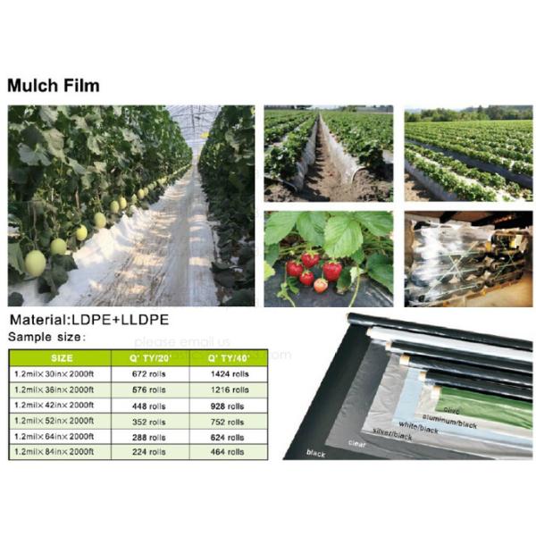 Weed Control Mulch Film, Agriculture Vegetable Black PE Films, 5 Holes Greenhouse Perforated Film