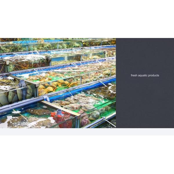 Food Fresh Meat Vacuum Skin Packaging Machine 220V/50HZ Food Tray Sealing Machine 36 KG