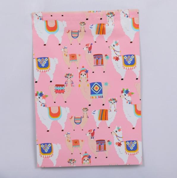 Recyclable Waterproof Colored Poly Mailer Bags Printed Eco Friendly Poly Mailers