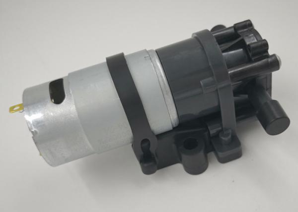 Electric Mini Gear Pump 24V Dc 1.5L/M Flow Small Portable With Brush Motor