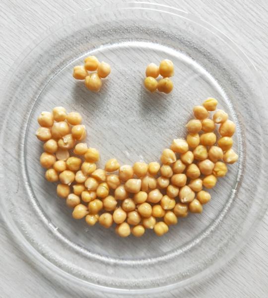 Preço barato a venda por atacado enlatada dos grãos-de-bico preservou Chick Peas 400g