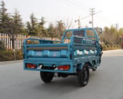 48V / 60V 1000W camion tricycle électrique pour les passagers