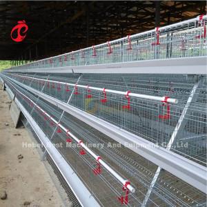 Tipo gaiola de 120 galinhas A de bateria da camada de equipamento Mia das aves domésticas